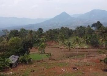 Sadar Kaya dengan Tetap Berinvestasi Lahan Kavling Nuansa Alam Transyogi 2 Di Era Pandami