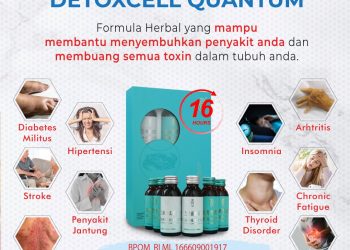 Bosan dengan Asam Urat dan Diabetes? Buang Pakai Detox Ini