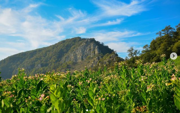 OPPO Ajak Tangkap dan Abadikan Kenangan untuk Masa Depan  dalam Kampanye #dearfuture2121