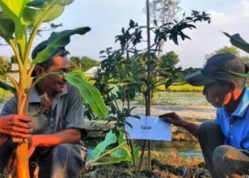 Indonesia Respon Inisiasi Gerakan Tanam Pohon Ber-NAMA di Hari Lingkungan Hidup Dunia