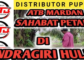 Berkolaborasi dengan Amanah Tani Bersaudara Mardan, Pupuk Cap AAF Siap layani Petani Sawit dan lainnya Lebih Maksimal