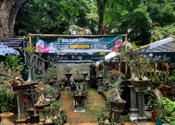 Sultan Adenium Hadir di Flona Expo 2022