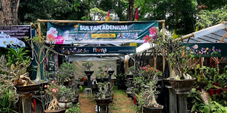 Sultan Adenium Hadir di Flona Expo 2022