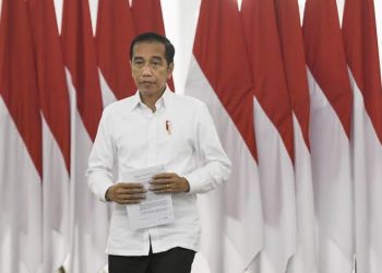 Empat Kekuatan RI di Mata Jokowi