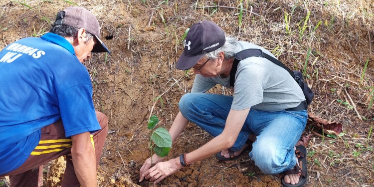 Lab Wirausaha Universitas Siliwangi Tasikmalaya Kembangkan Budidaya Kacang Amazon di Desa Mandala Mekar, Jatiwaras, Tasikmalaya, Diharapkan Jadi Solusi Ketahanan Pangan dan Dukung Pengembangan Ekonomi 