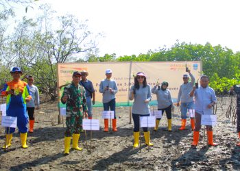 Danamon Peduli Tanam Lima Ribu Pohon Mangrove di Pangandaran