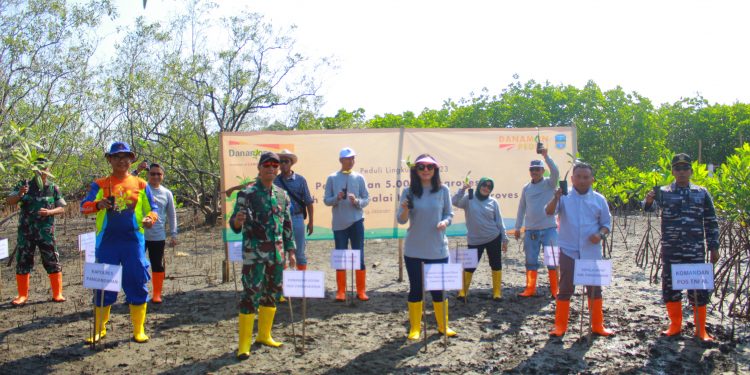 Danamon Peduli Tanam Lima Ribu Pohon Mangrove di Pangandaran