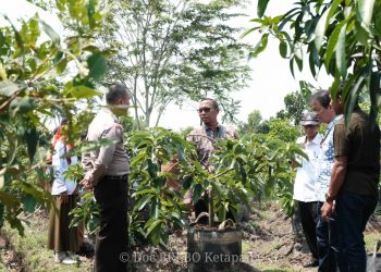 BRI Menanam Jadikan Desa Payah Kumang Sebagai Sumber Ketahanan Pangan dan Agro Wisata
