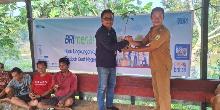 BRI Cabang Sanggau Lakukan Program BRI Menanam di Perbatasan Indonesia – Malaysia