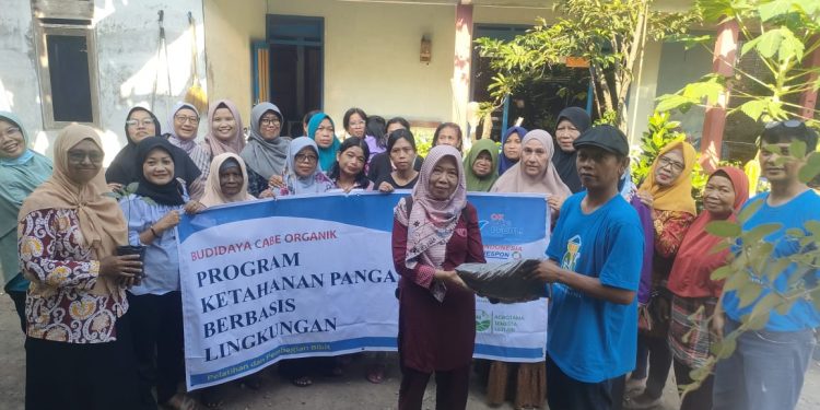 Wujudkan Ketahanan Pangan Berbasis Lingkungan, Perempuan Tani Sejahtera Indonesia ( PTSI ) Membagikan 100 Ribu Bibit Cabe organik dan Pupuk Organik