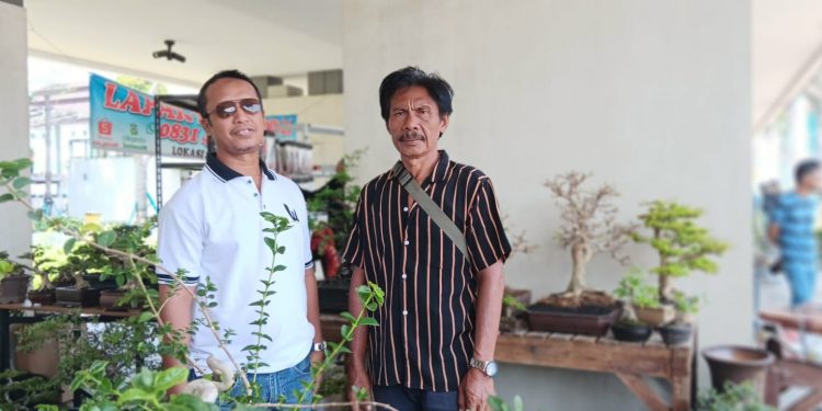 CEO Sultan Adenium Apresiasi Pemkot Tangsel Dukung Pameran Bonsai Merdeka 2024