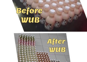 Program WUB Pemkot Depok, Naikkan Standarisasi UMKM Dengan Legalitas Usaha dan Manfaat Lainnya