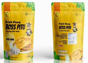 Program WUB, Terbukti Naikkan Daya Saing UMKM Depok