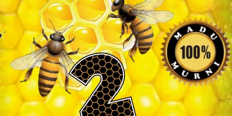 Perluas Kesempatan Umroh, Maduqu Gass Poll Peluang Keagenan dan Reseller