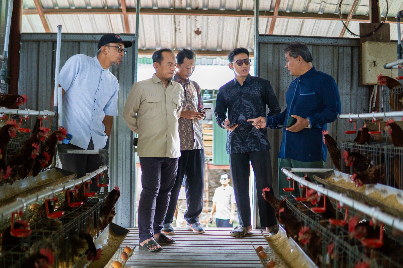 Riyono Caping Desak BGN Serap Telur dari Peternak Ayam Petelur dengan Jaminan Harga yang Pro  Rakyat