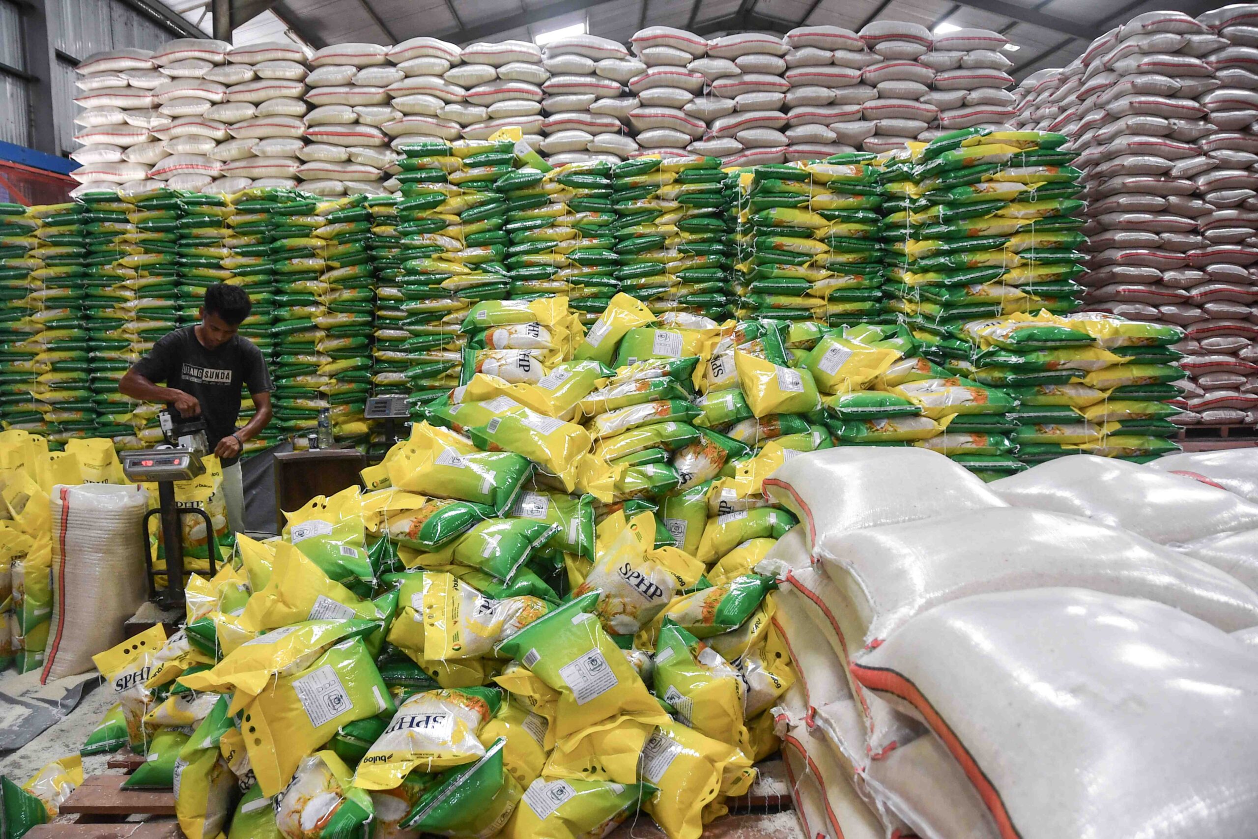 Bapanas dan FAO Konfirmasi Indonesia Pimpin Produksi Beras ASEAN